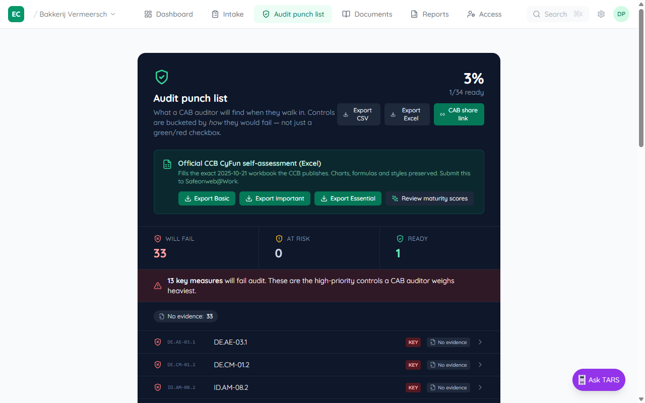Audit punch list overview showing WILL FAIL AT RISK and READY buckets with a list of findings grouped by failure mode